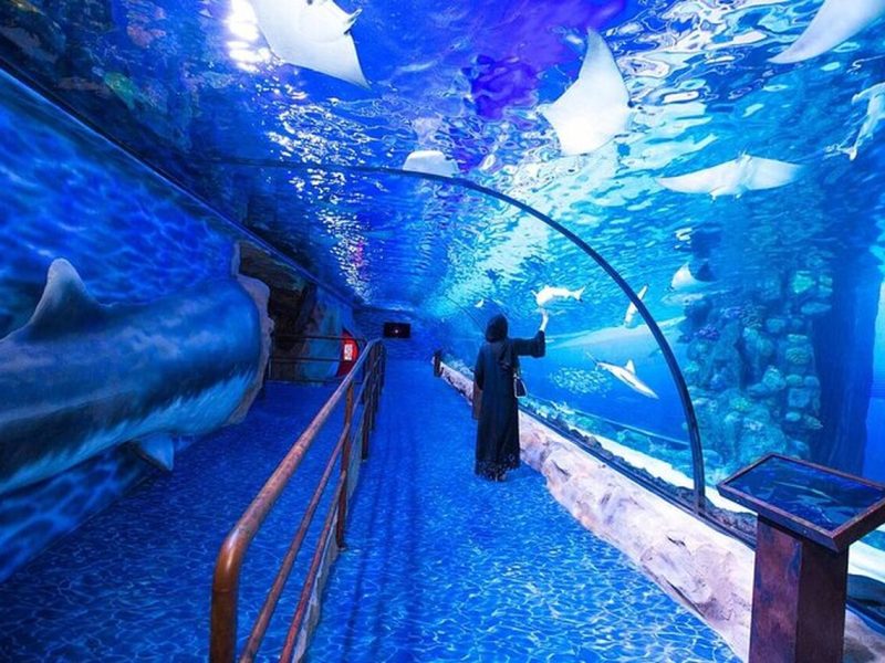 image00004_Easy-Resize.com